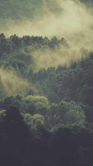 seo优化工具排行截图3