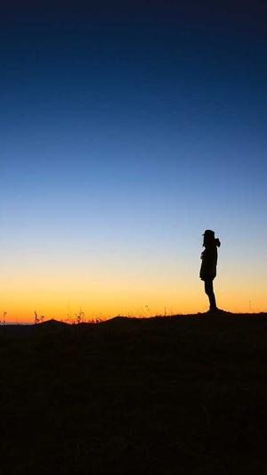 seo优化提升排名工具截图1