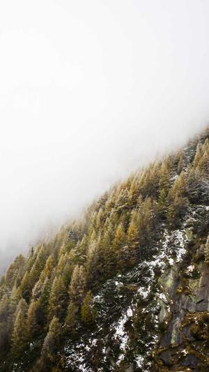 泛目录小说站群截图2