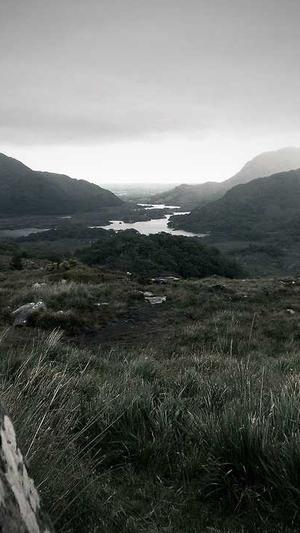 聚合泛目录教程截图2