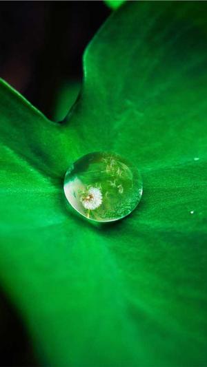 百度seo优化截图5