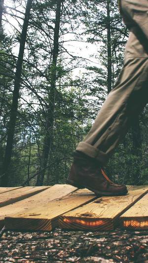 网站建设查询截图3