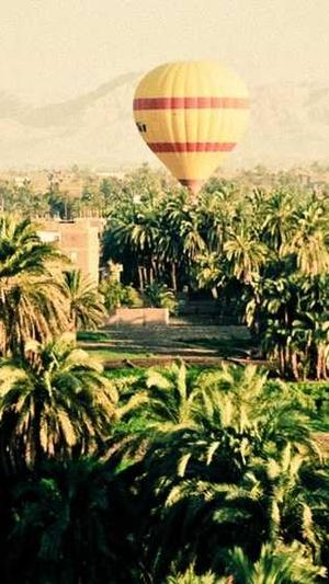 seo 优化 工具截图1