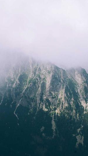 泛目录程序下载截图1