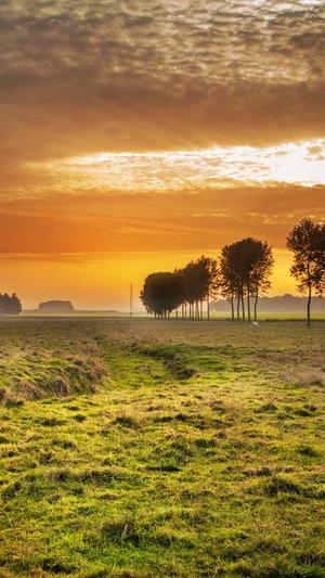 seo是什么意思截图1