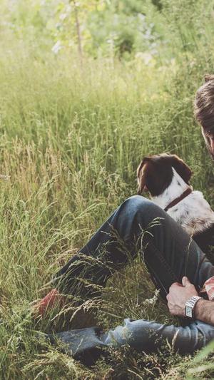 seo关键词检测工具截图2