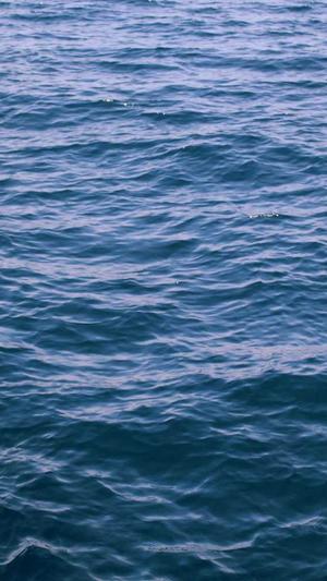 网站建设总结截图2