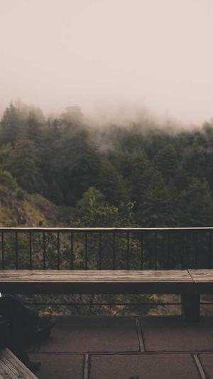 如何辨别真假蜘蛛池截图4