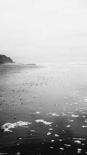 黑帽泛目录程序截图2