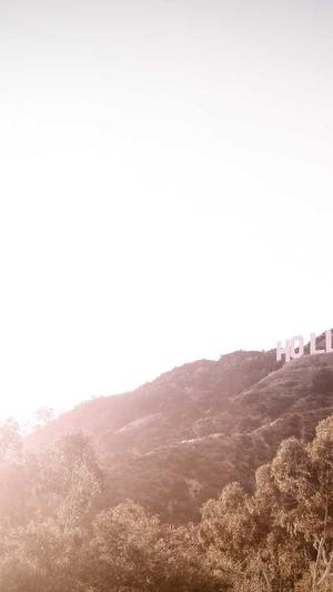 蜘蛛池怎么做最好截图3