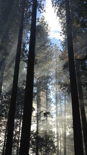 聚合泛目录教程截图5