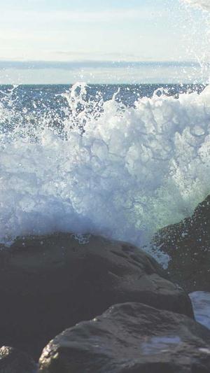 seo常用工具seo博客截图1