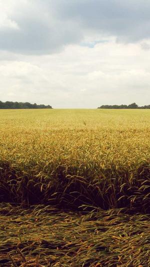 爱站seo工具包操作方法截图1