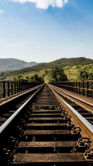 百度秒收录蜘蛛池接单截图3