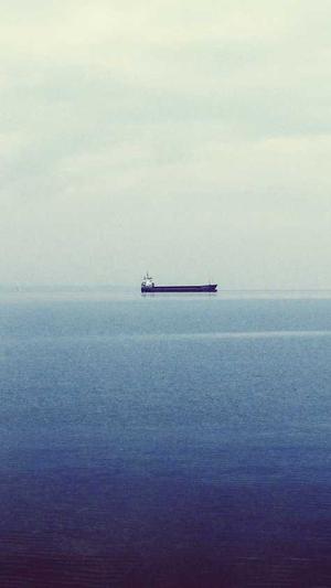 seo查询系统站长工具截图2