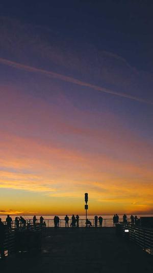 seo 优化 工具截图3