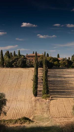 苏州企业网站建设截图2