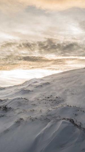 免费蜘蛛池搭建教程图截图2