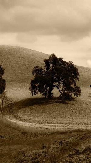 百度seo优化排名截图1