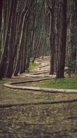 西安seo优化截图1