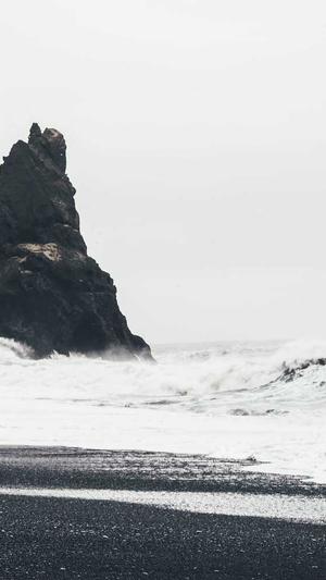 seo站长工具快速推广截图2