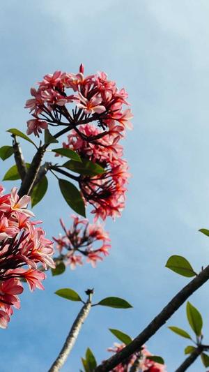 seo网站优化流程截图1