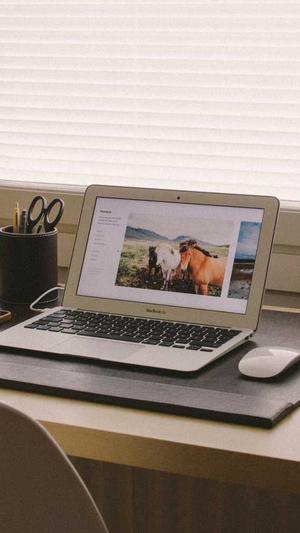 蜘蛛池软件运营截图3