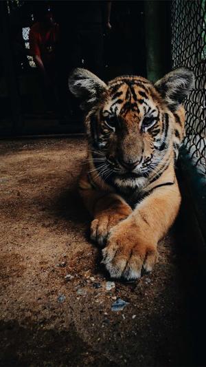 泛目录操作流程seo教程截图2