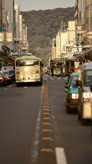 自己建蜘蛛池截图3