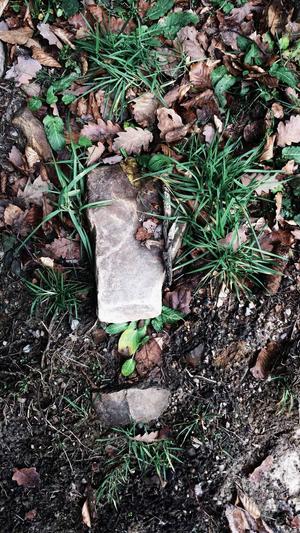 seo 搜索优化工具截图2