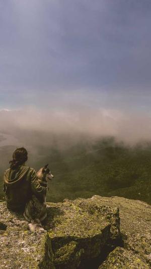 学习seo优化截图2