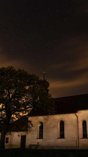 seo快速排名软件截图3