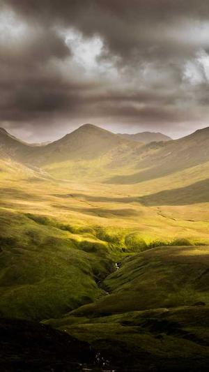 青海蜘蛛池租用哪个好截图3