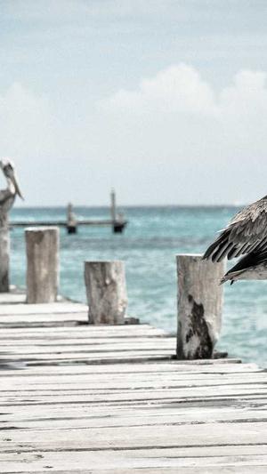 成都网站建设开发公司截图5