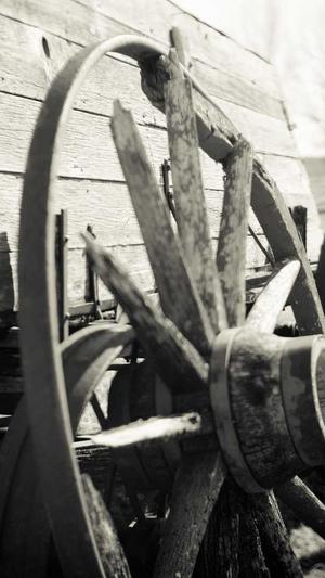 泛目录站群代发截图1