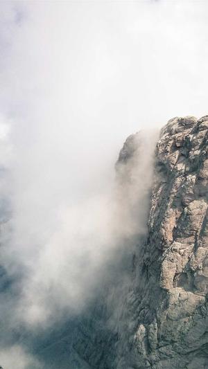 seo 搜索优化工具截图4