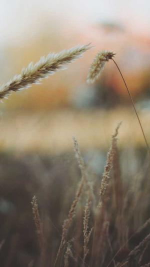 重庆seo公司排名截图2