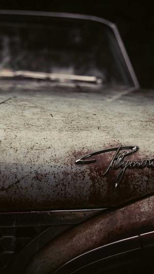 小旋风蜘蛛池有啥用截图3