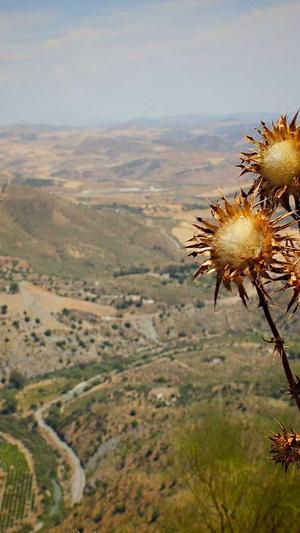 信阳网站建设截图2