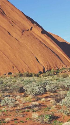 银川网站建设截图3