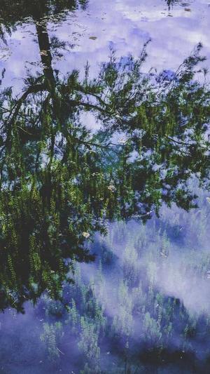 seo工具下载推广截图2