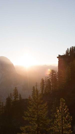 seo工具包大全截图3