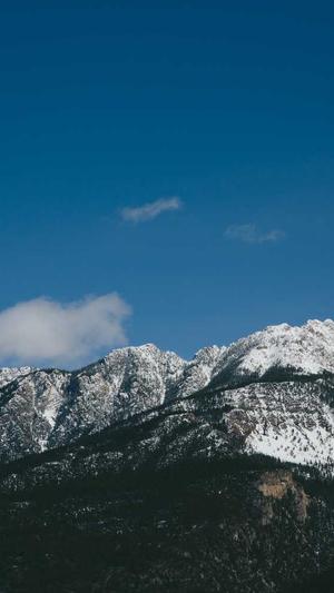 seo关键词查询工具截图2