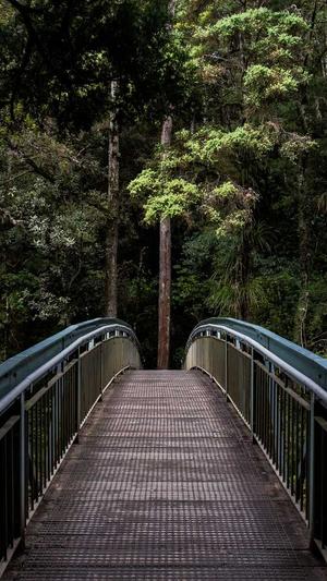 零距离泛目录站群截图1