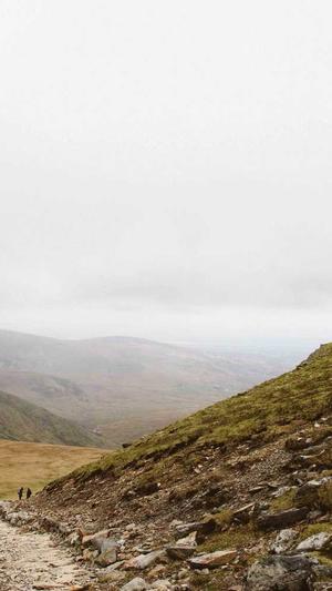 淄博seo优化截图3