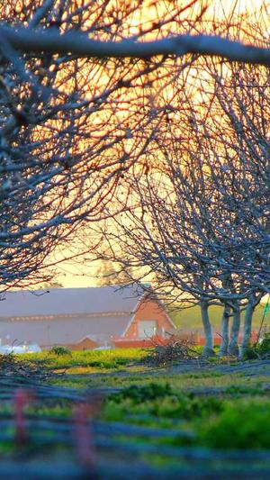 青岛seo服务截图2