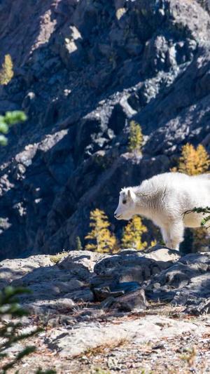 黄冈网站建设截图1