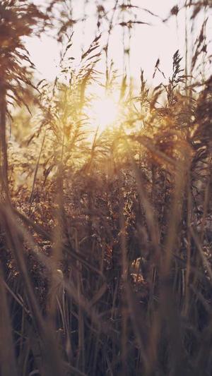 住房建设部网站截图1