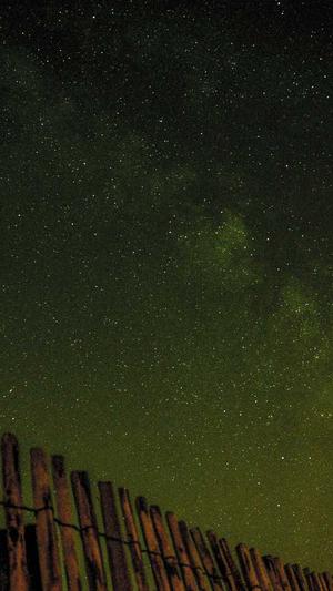 seo自动推广工具黑帽seo截图2