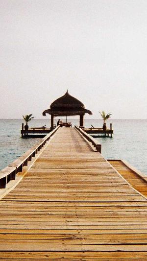 手机seo排名工具 site截图1